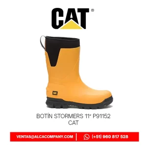 Botín Stormers